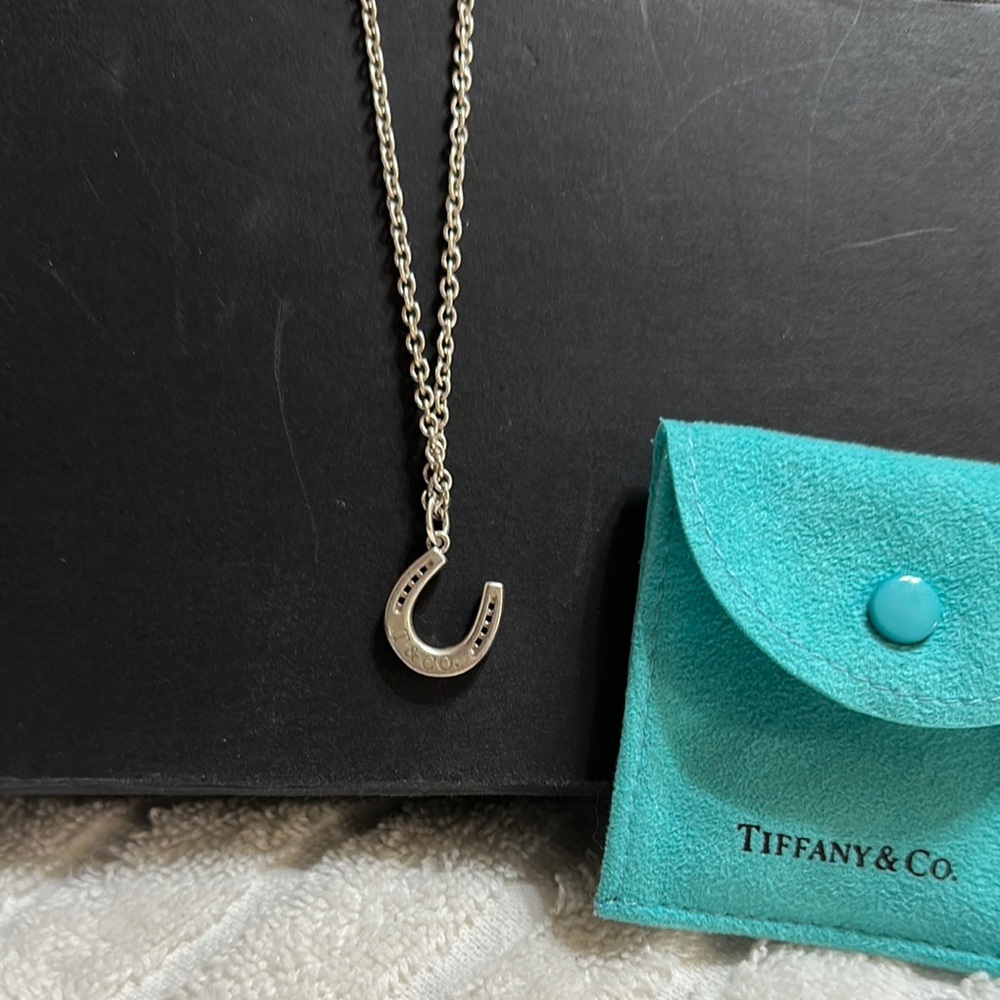 Tiffany & Co. Silver Horseshoe Necklace